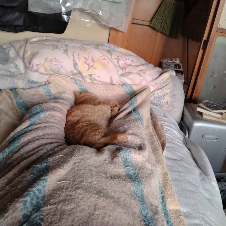 E5f7a3cb 0aab 4325 823c 744cc6f3046f 1691189712532