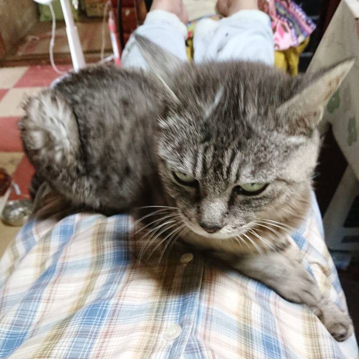 E5f7a6dc 3069 465f a406 4fb0db196de1 1568505611032