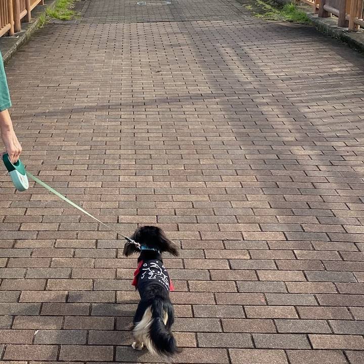 E5f7a704 40f7 4bfe 9c09 6353b523af48 1695553377230