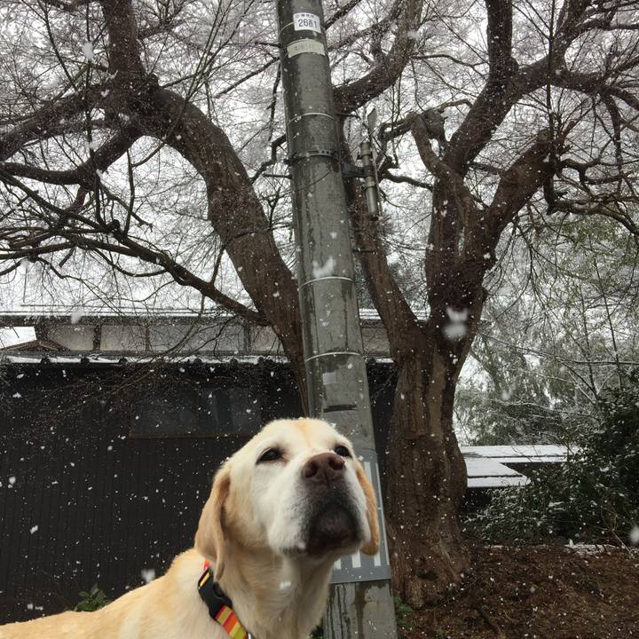 E5f7ab94 2d9f 4fee b7f4 4609ccfa2b46 1547900369499