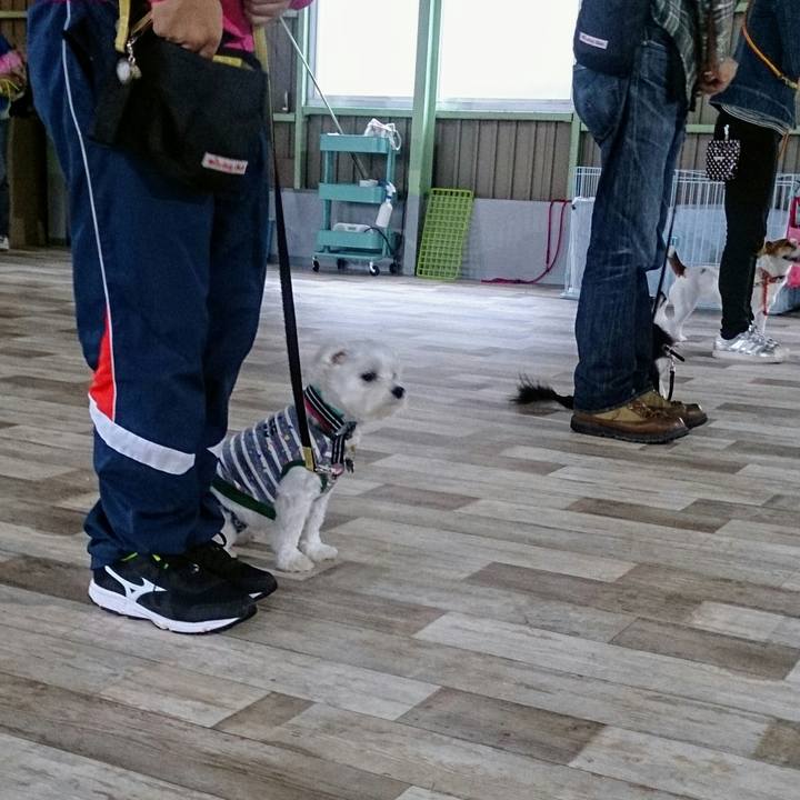 E5f7b306 f2b1 43fe bb8b 3d5ffe071585 1508571395581