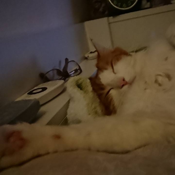 E5f7fe90 40dd 4d8f 974c aa97c84b92ee 1526910208968