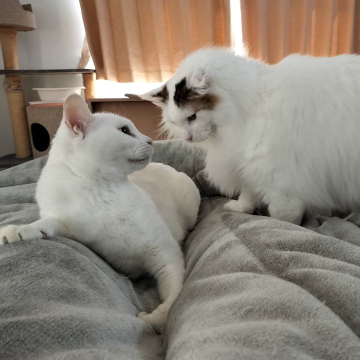 E5f82dd7 fc8a 4344 9a43 e19747f628a4 1772932037002