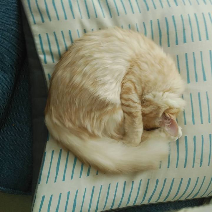 E5f82f01 2c3c 471d 846c 667892c0cd69 1618140588456