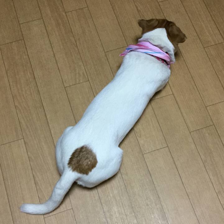 E5f845b3 8e92 4821 be09 d55aefb48bf1 1521019057846