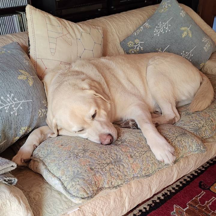 E5f857f2 d426 410b 8937 e1a1e9835b64 1738932963698