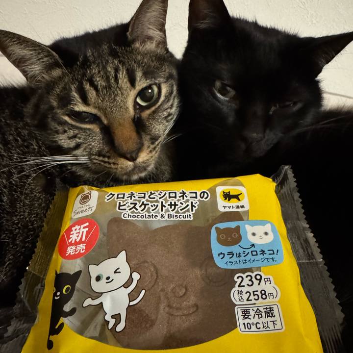 E5f8599c a6ff 425f 9d43 2333c75f3efd 1740396364480