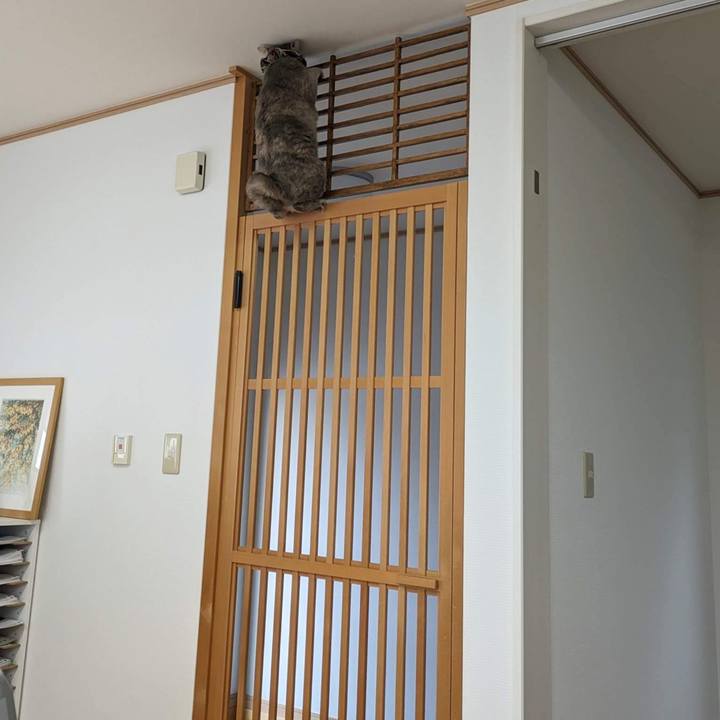 E5f86281 fe04 45bd 9f3f 13fba78c15e3 1687494380767