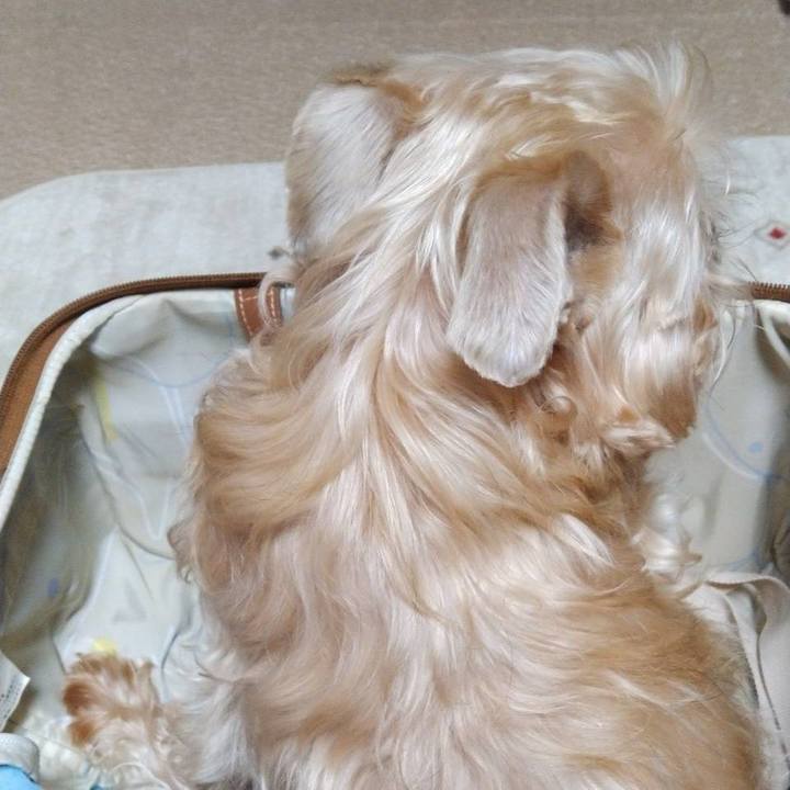 E5f8cda1 9a18 45b0 845f b37404ca3851 1645107838065