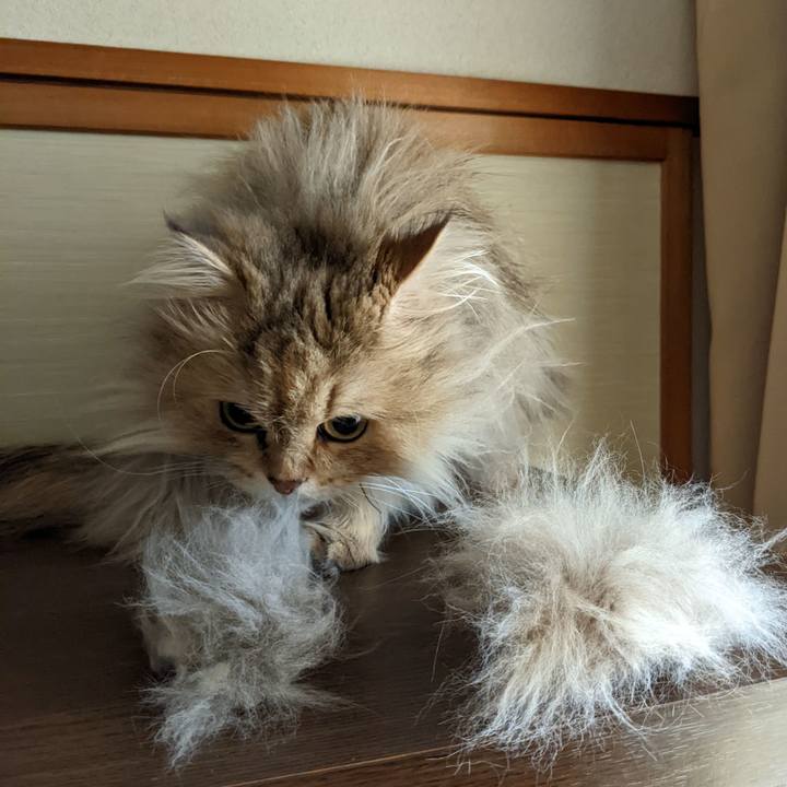 E5f920af f193 466c ac94 c66288cd7327 1647921734652