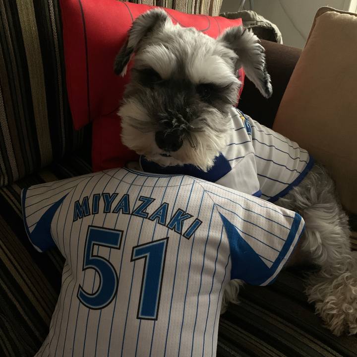 E5f93316 5dec 4de8 bcac 517231905a2a 1600578299444