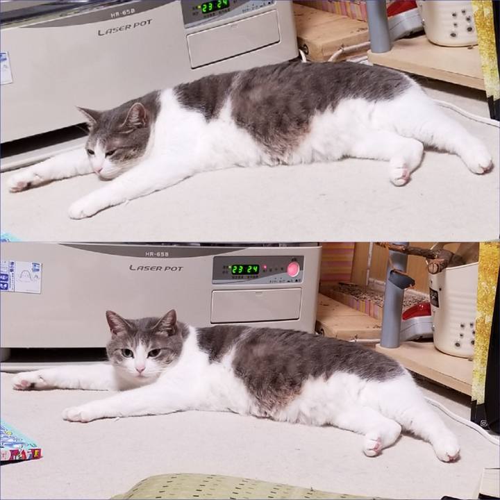 E5f93c14 1815 4bd8 bc90 96e46b38dd93 1540217038731