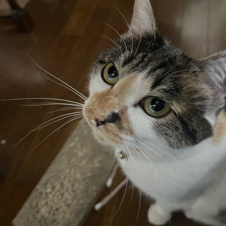 E5f95c2e 01ed 4f9a 8340 c52743c3f3c4 1770941066892