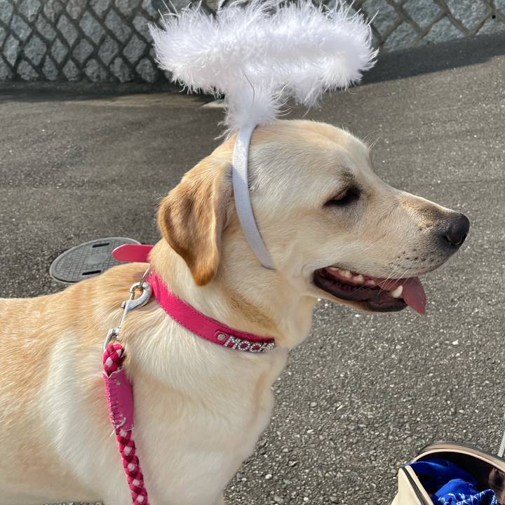 E5f9c975 2dd7 4b51 ab71 b82372470e6c 1635429863329