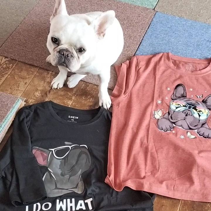 E5f9e549 8388 4e06 a1f9 2d9dbb3ad627 1684835790321