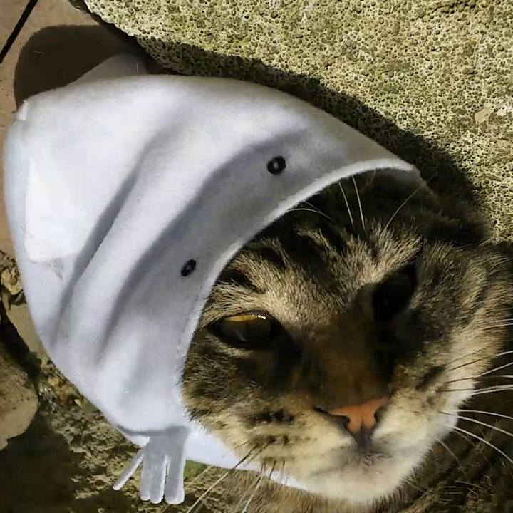 E5fa1466 1c34 4482 8cf3 720e1d49cc59 1557630687962