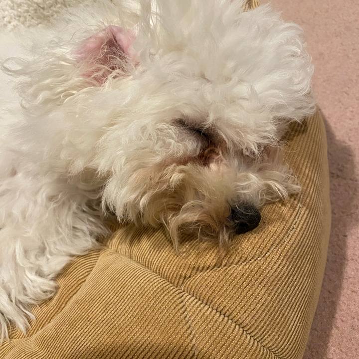 E5fa1942 f994 4cf7 890b ceb20c9adbb3 1745931574581