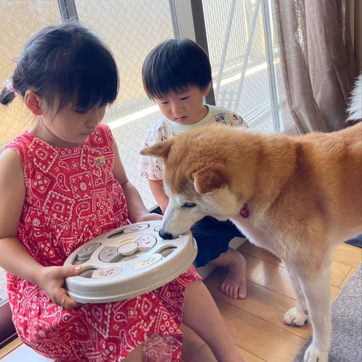 E5fa1d74 a21c 421f 9add d390e5e87288 1689647291711