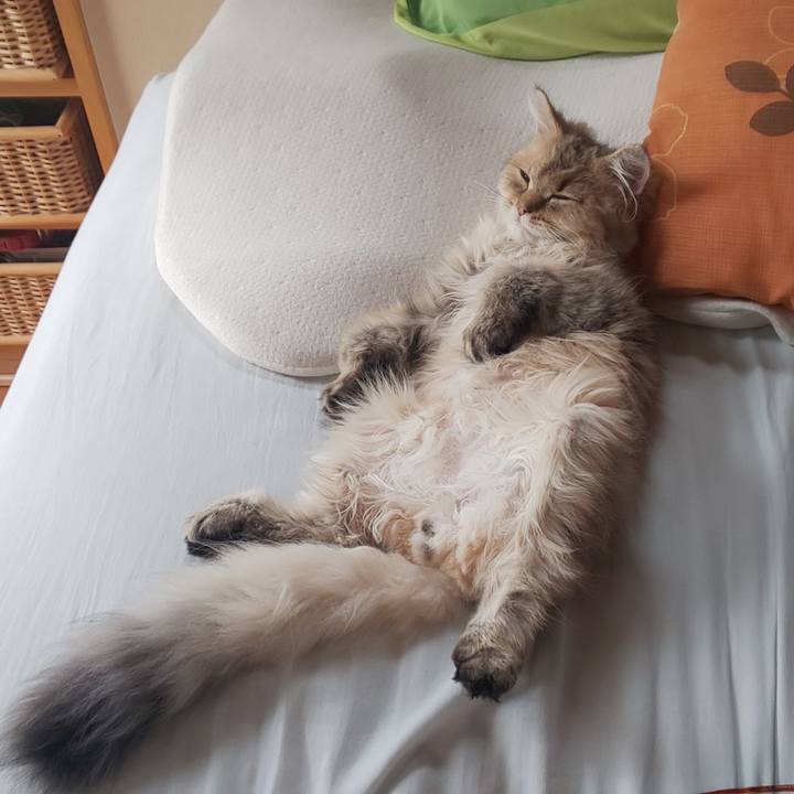 E5fa24ce db7e 437a 9833 38c85c5c9df1 1558420362801