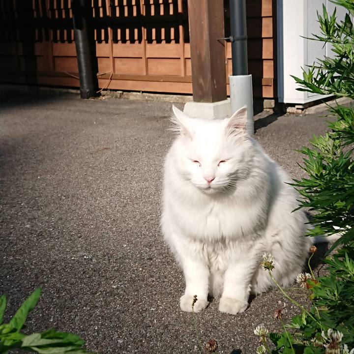 E5fa347b 52b8 47a9 8fb8 b947c35fb968 1529620002298