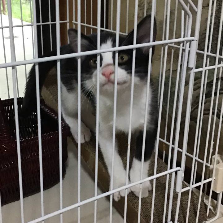 E5fa3c79 1232 4e6c 8c1f e910602a1ae7 1625823721999