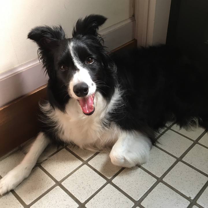 E5faa873 9e89 46b4 86b5 d377a442dd8e 1531695129671