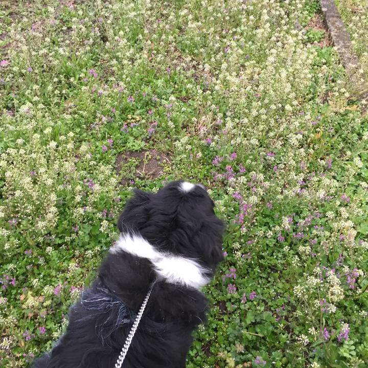 E5faa8e8 2d7d 4629 a0f6 30d898c4e9b3 1583280198696