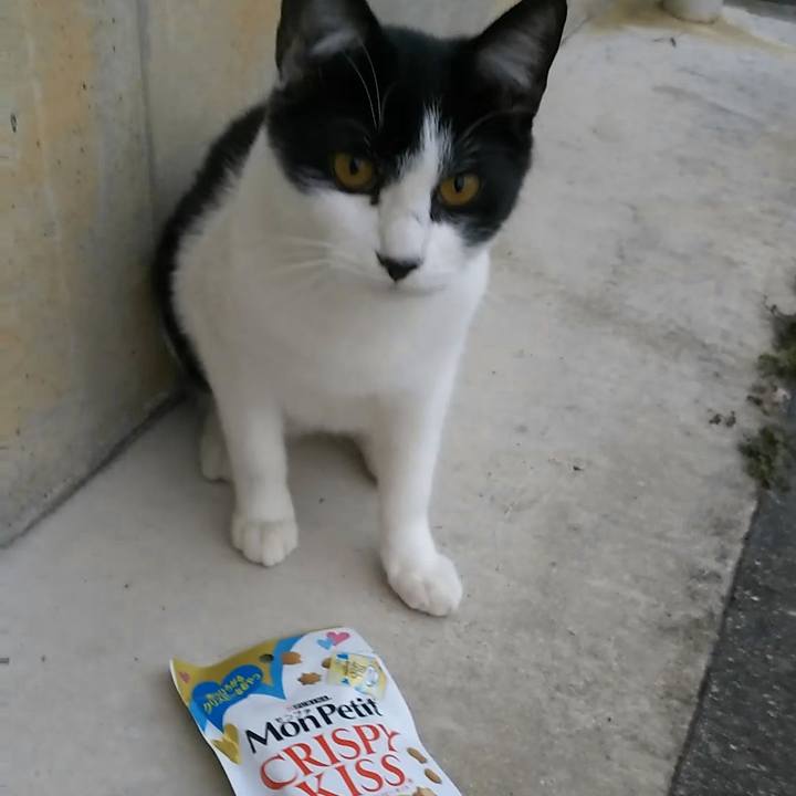 E5fab491 e264 4ed1 b575 4ae6ff9148d0 1542184630994