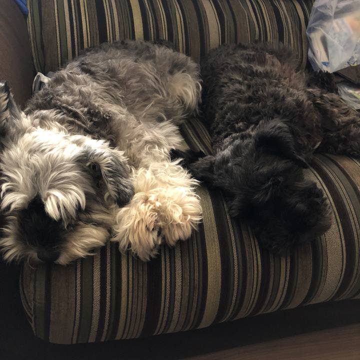 E5fade2f a623 48fa 824c ee55f143363c 1536463268451