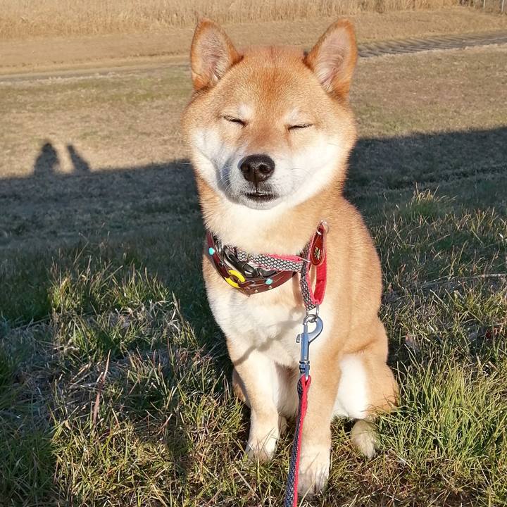 E5fb37ae 6bdc 4568 9f6e bef4be689018 1581415360091