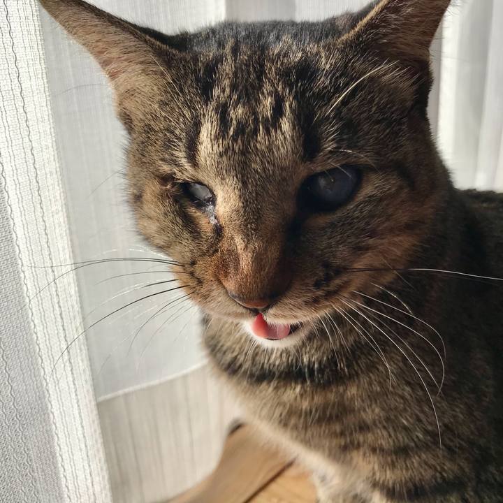 E5fb4171 ee02 41c3 b6d8 46acba3da141 1608107101538