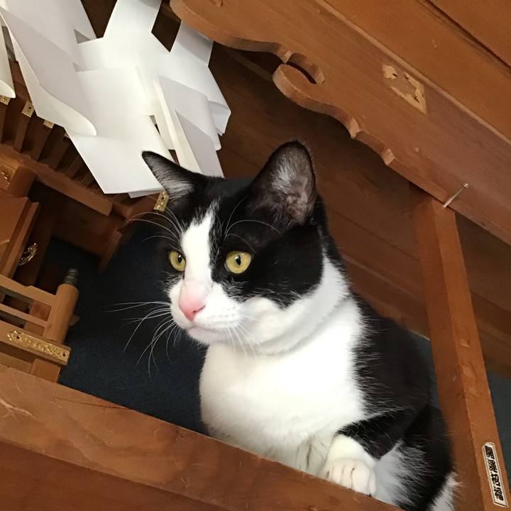 E5fb5653 6436 4557 9def 9bbff2c9f247 1710157475232