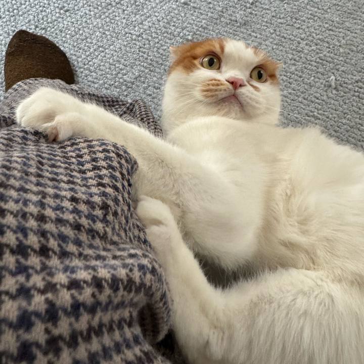 E5fb6fed ac12 4bb7 a21d ca016c91d969 1772764752182