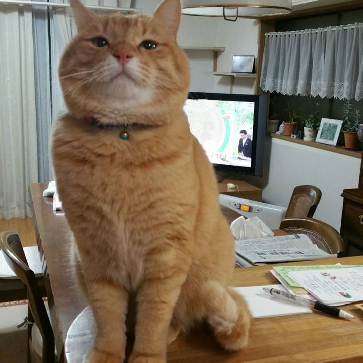 E5fb82ab 9ce8 4023 a013 5072814274a3 1548112552772