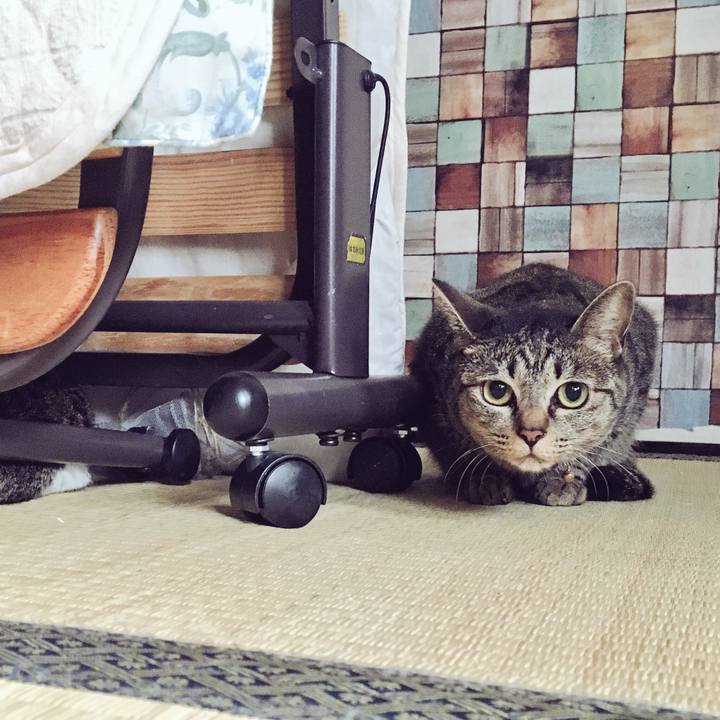 E5fba888 6b1d 4e82 871f 4bf87be7a130 1533723376469