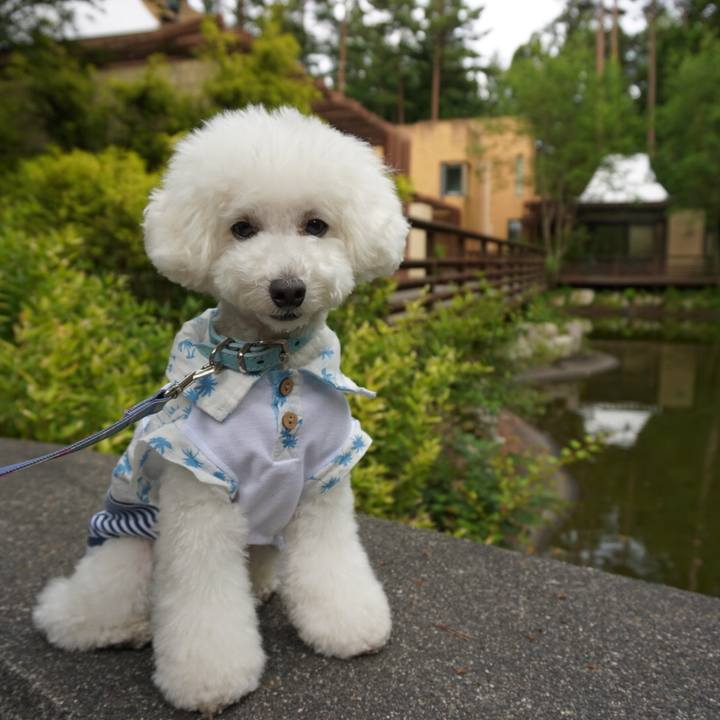 E5fbb9a2 96e8 4c7a a103 6e9a1ff45ace 1530260560129