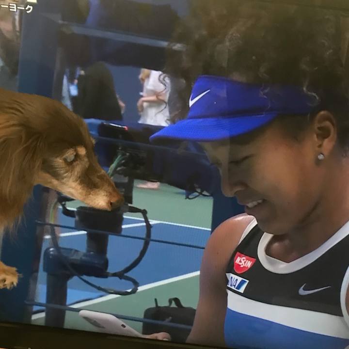 E5fc037b d2a7 4c84 bfbd 689046316e00 1599948786155