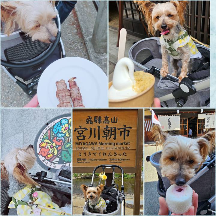 E5fc05e6 c1c4 49a2 95f0 8c2910b51888 1746420536117