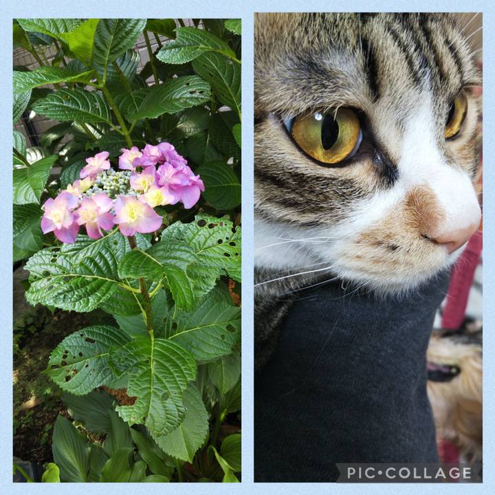 E5fc6e1f 8500 42a1 85eb e4f780679232 1654385468447