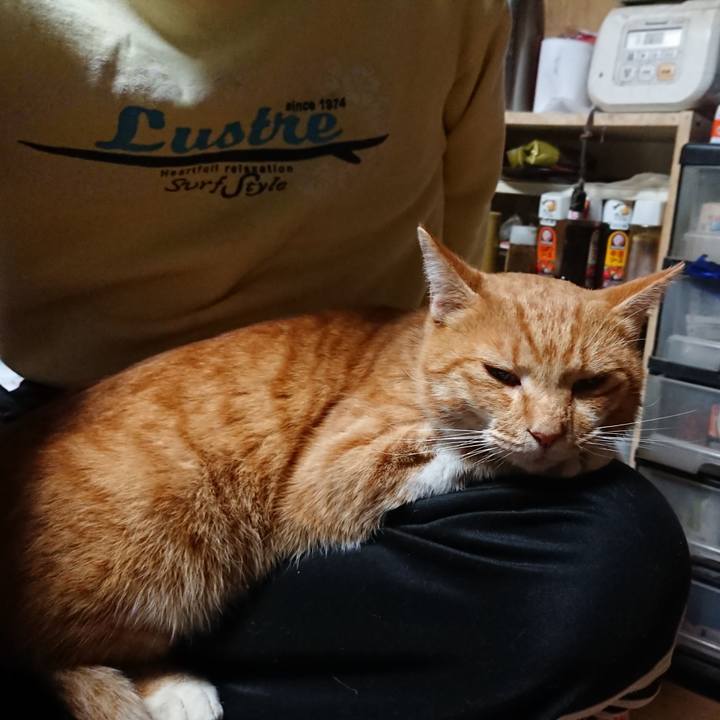 E5fc8f75 c8ca 4057 8973 6e1f1aacf7b9 1603488128240