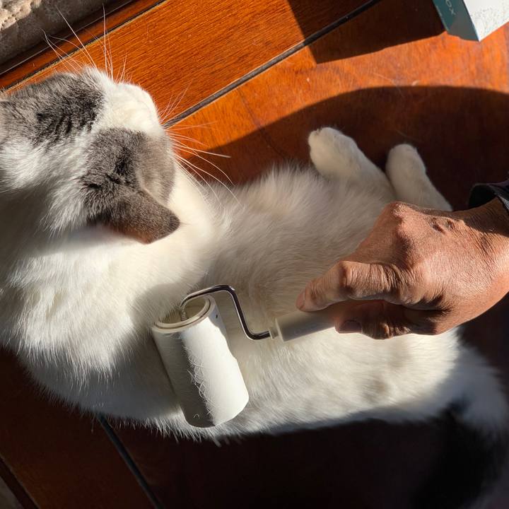 E5fce3c2 a3dd 4479 a586 6bc5493577c9 1682995450633