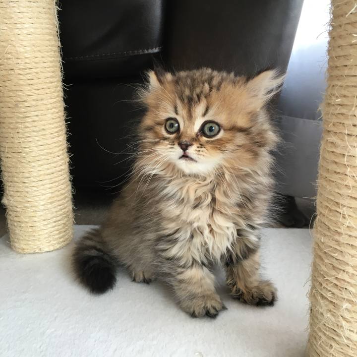 E5fd1c7d 7f65 43c7 95c7 ca330083af1a 1514470426159