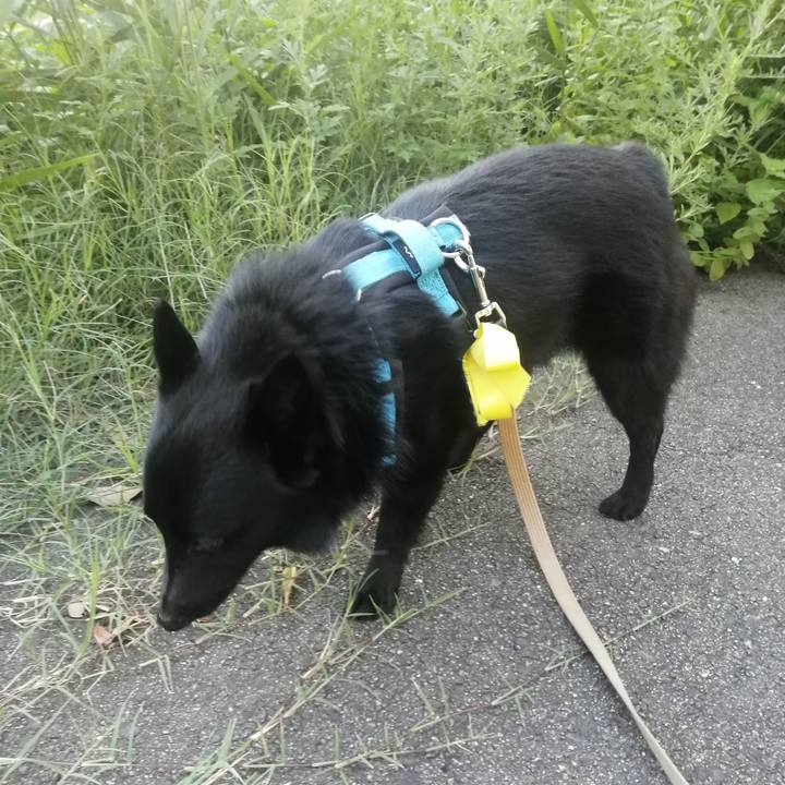 E5fd6d42 b689 4e2e 9358 d2ceba0e27db 1659310704495