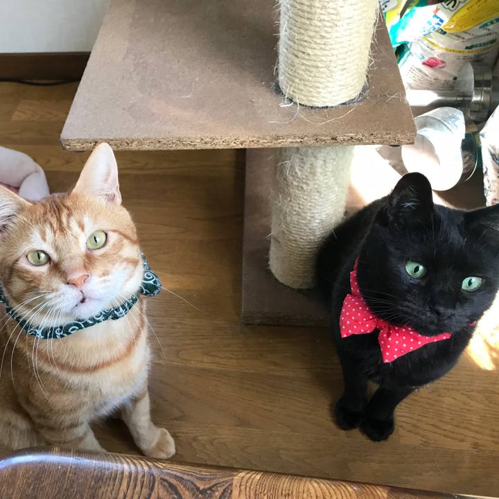 E5fd97ed 1523 4656 9e4d 1d23574d6b15 1561246868685