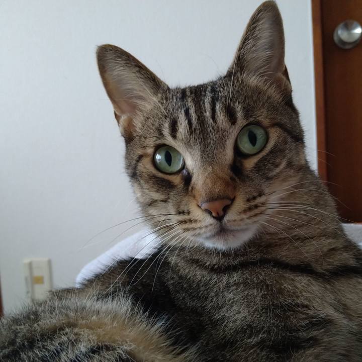 E5fdc064 2cea 499d b8c5 481557b94d7e 1666484204776