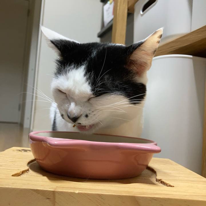 E5fdc2f4 fa93 4c69 8bb9 04a26c563af1 1758401138654