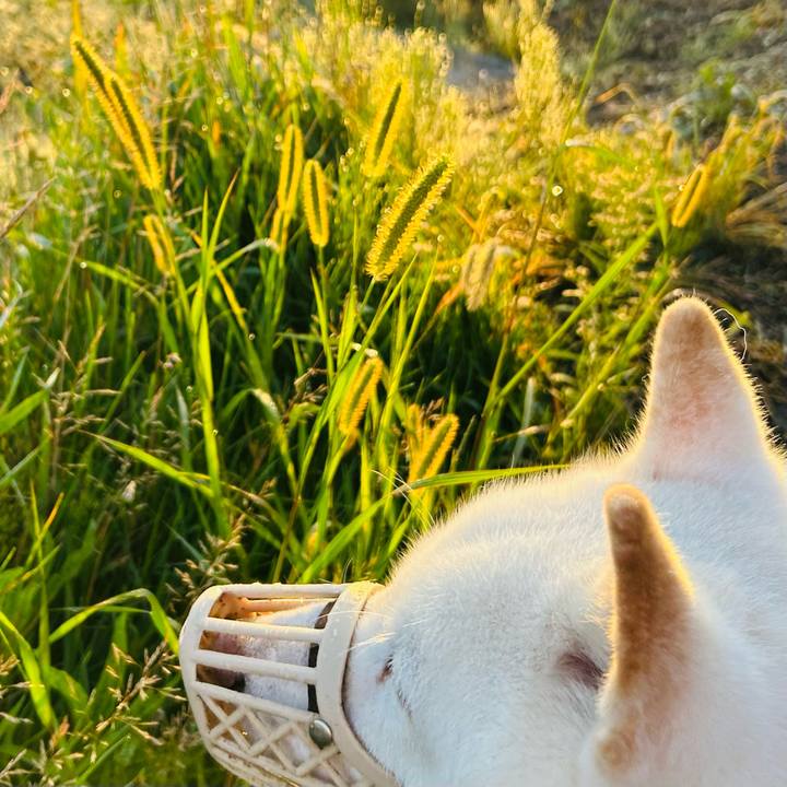 E5fdd439 d977 4ba9 968a 7fa87b986ab8 1757105268304