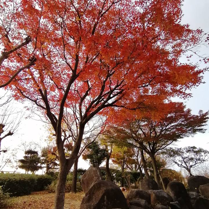 E5fe1b60 be21 41f7 84af cec80426e7e1 1575459174388