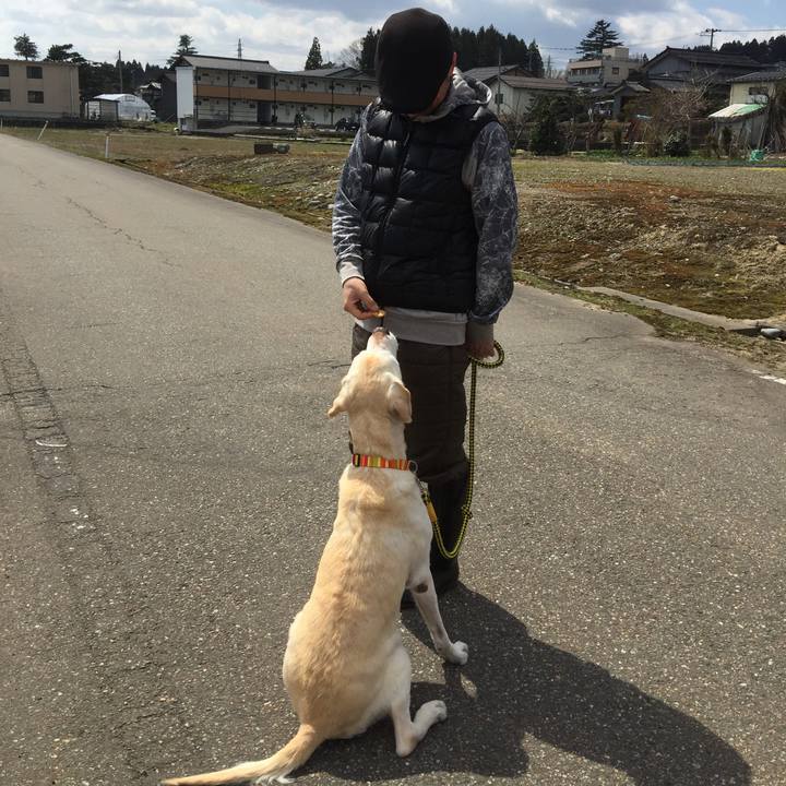 E5fe1f27 23aa 4518 94e5 8e52b79cf97f 1548931880410