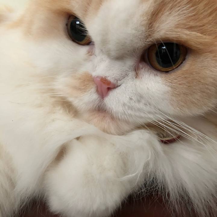 E5fe2a81 8e72 47f2 8e14 b09bb5e2c952 1596844916263